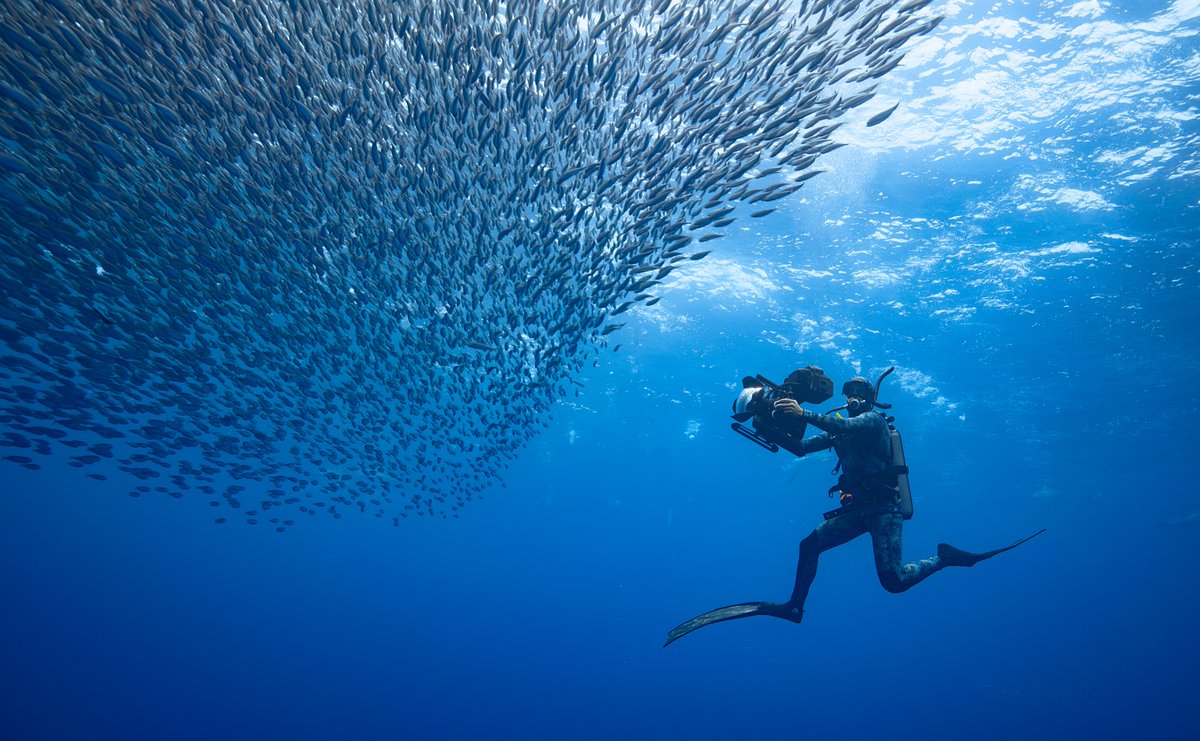 photoinduced tweet media