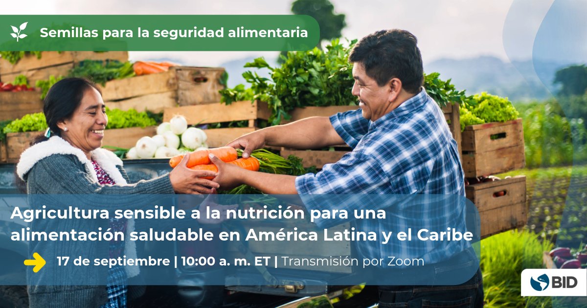 ¿Sabes qué es la agricultura sensible a la nutrición?

Te invitamos a un seminario en el que abordaremos la relevancia de este tipo de intervenciones agrícolas para transformar los sistemas agroalimentarios y contribuir a la reducción de las deficiencias nutricionales en la