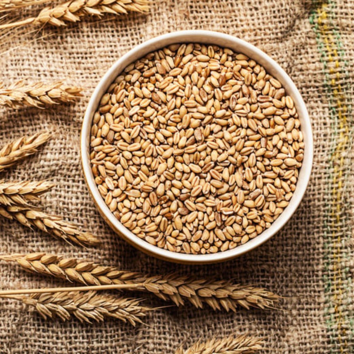 444 Vakıa Suresi okundu. Bereket duası yapacağız.

Adınızı yazın yada nokta koyun sizi 
duamıza katalım.

Gönderiyi beğenip, paylaşalım.