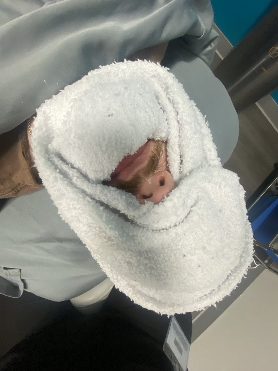 Emily Austin tweet media