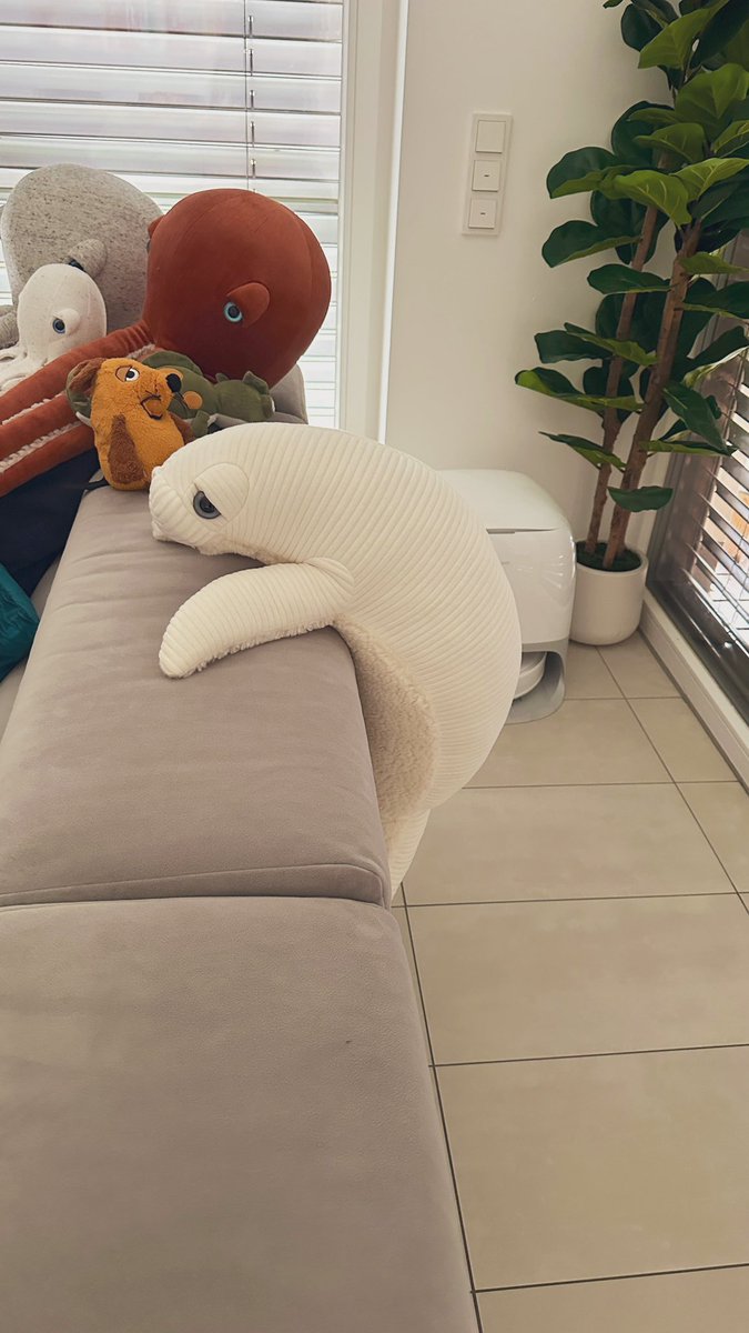 Mark Müller tweet media