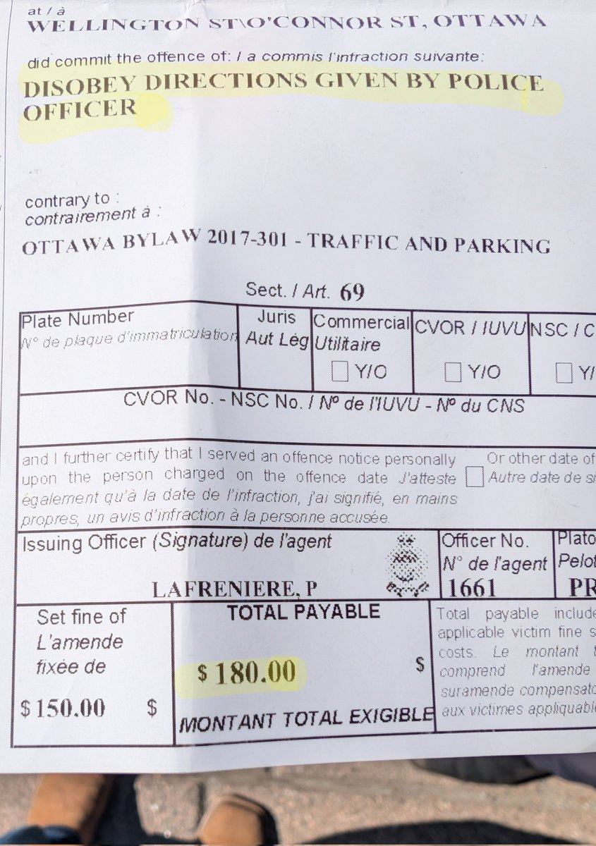 $150 for waiving the Canadian flag in an unapproved location...

Welcome to Ottawa!