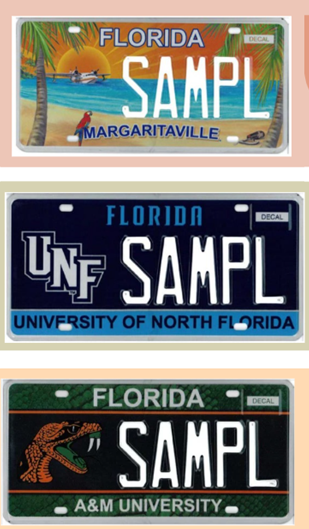 Whether you're a fan of beach vibes, a proud Osprey, or a dedicated Rattler, we've got you covered with these vibrant designs. Plus, each purchase supports valuable causes and showcases your unique interests.

<a href="/fasanomike/">Mike Fasano</a> <a href="/GregGiordano1/">Greg Giordano</a>