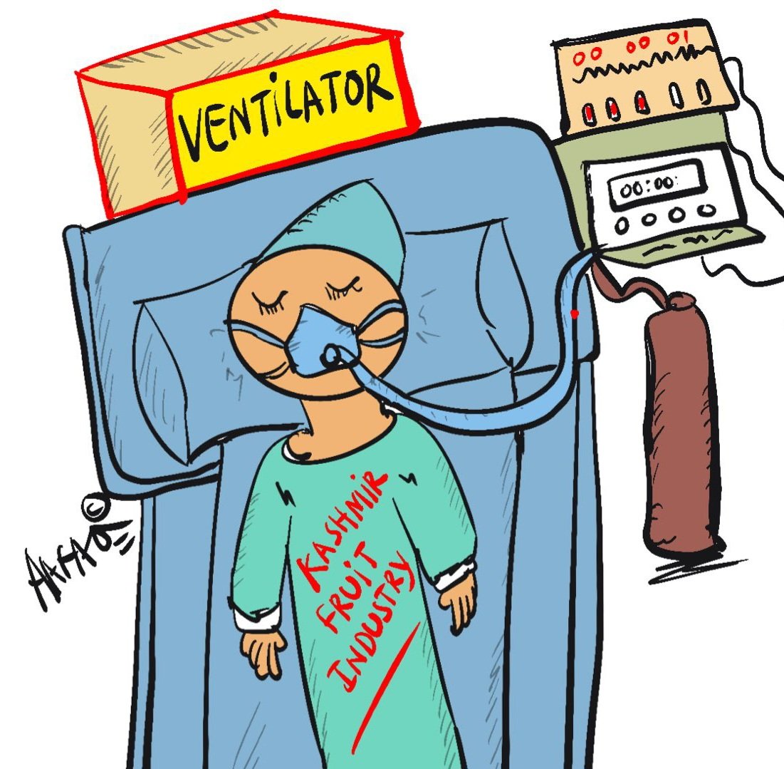 aafaq_hamid's tweet image. Kashmir Fruit Industry 🍎💔 ...