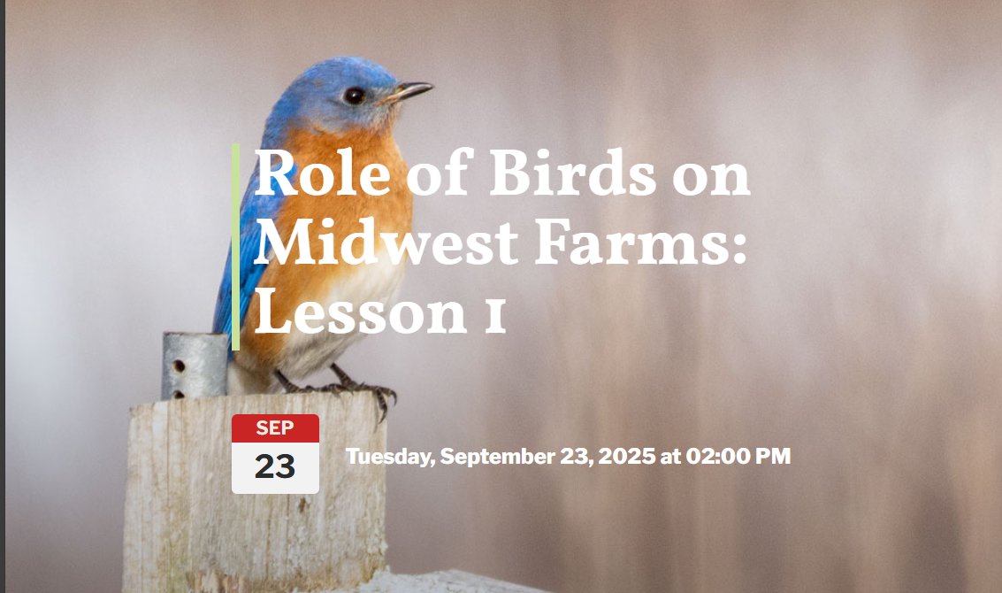 🕊️ Why do birds belong on the farm? Join virtually on Sept 23 at 2 PM CT for Lesson 1 of Role of Birds on Midwest Farms with Sara Kross &amp; Jo Ann Baumgartner. Learn how birds boost biodiversity &amp; pest control! 
RSVP for Zoom link: go.wisc.edu/036951