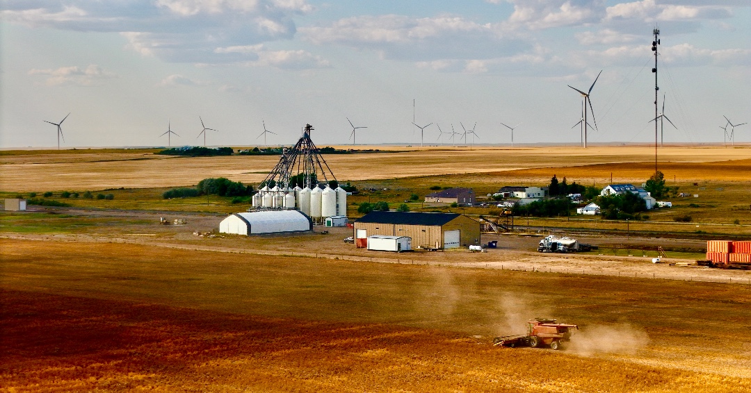 You can almost smell this photo: dust in the air, combines humming, and that sweet mix of diesel + crop coming off.

Drop your own harvest shots in the comments — let’s see what it looks like in your fields. 👇