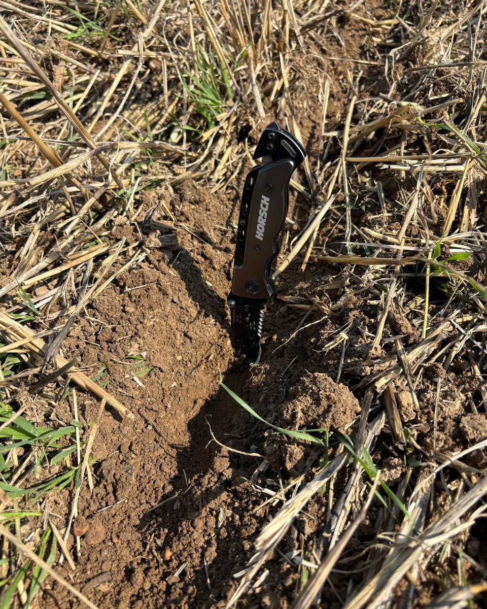 HORSCH_France's tweet image. #horschsprinter #horschpartner #sd 👩‍🌾 Nogent sur Seine 
#semis #direct de #cv au semoir à #dent derriere #blé tout début août 

💡 condition ideale #semis sur #chaume courts et #paille bien broyée.  
 pointe ThinEdge #sillon étroit  + #terre "fine bon contact terre-graine