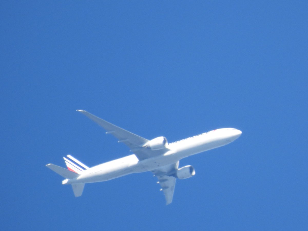 Air'Perche tweet media