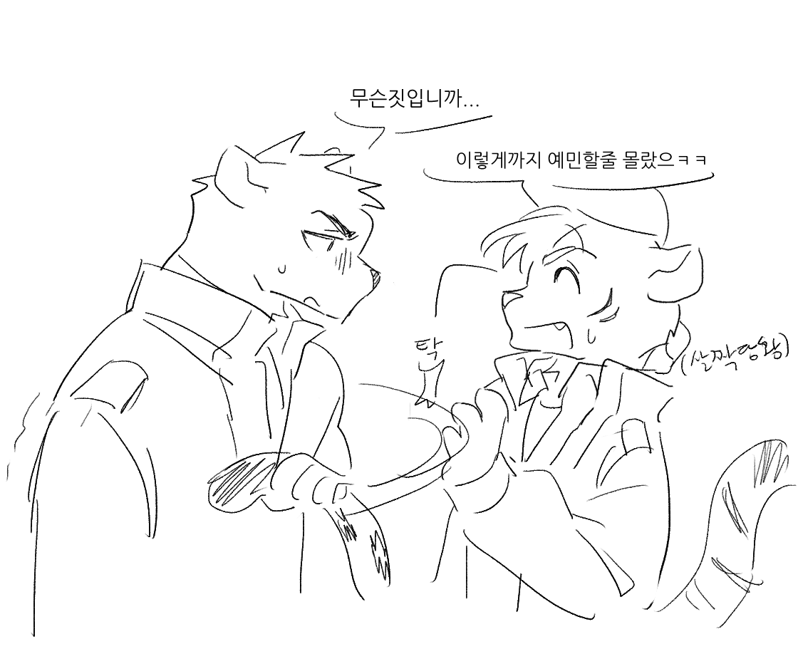 류최 흑표범 좋음 꼬리도 길고 고양이고