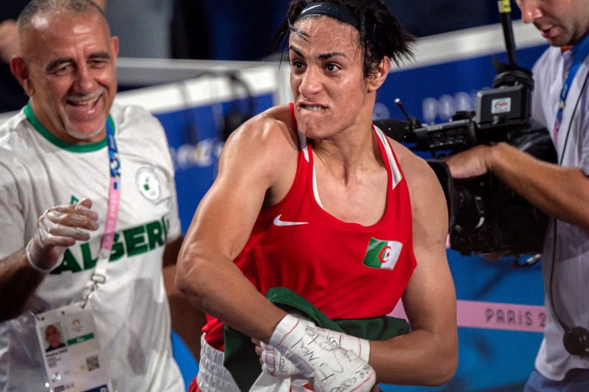 شیرین ♟️ tweet media