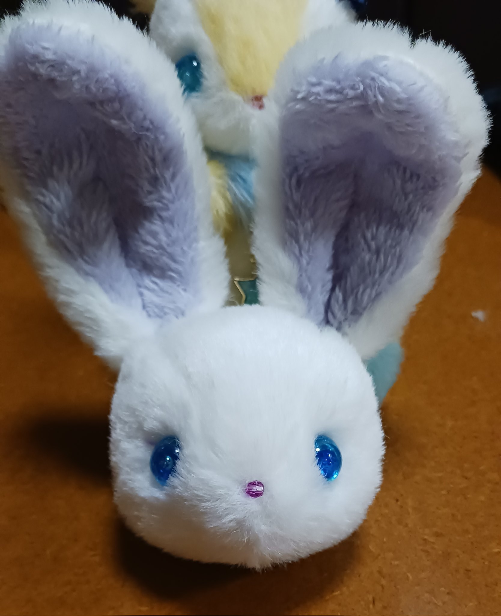 ユメミルうさぎ ゆめちからブレンド「Reve de Lapin レヴ・ドゥ・ラパン
