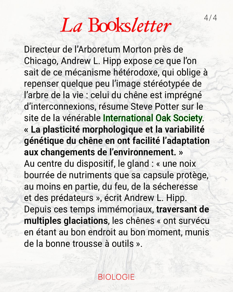 📚 Notre édition du 12 septembre met en avant cinq livres remarquables, dont 𝙾𝚊𝚔 𝙾𝚛𝚒𝚐𝚒𝚗𝚜 d’Andrew L. Hipp, spécialiste de l’évolution des plantes.
📩 Pour ne pas manquer la prochaine Booksletter, abonnez-vous via ce lien 👉 linktr.ee/booksletter
#chêne #biodiversité