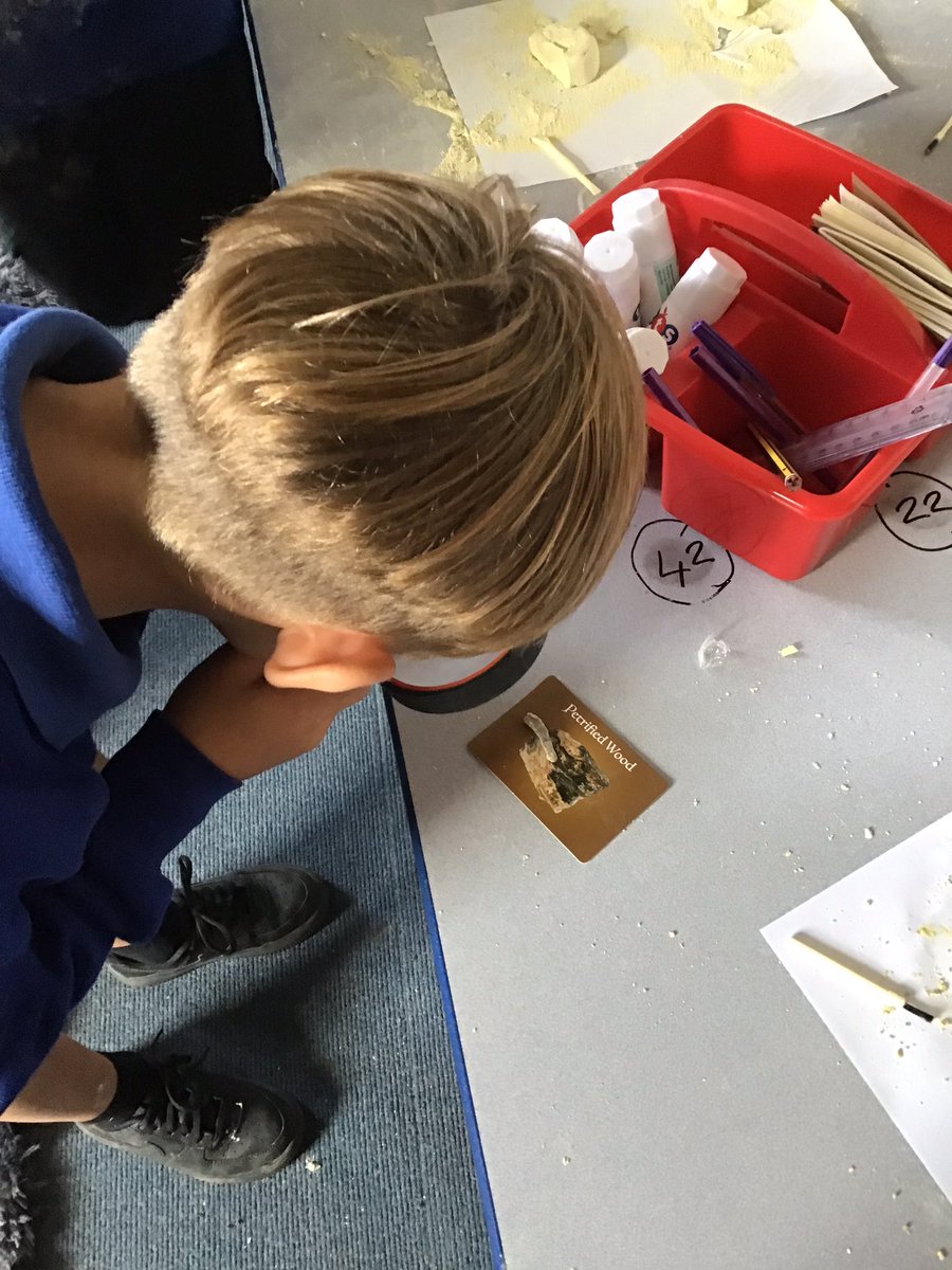 We are having a closer look at the fossils we have found!