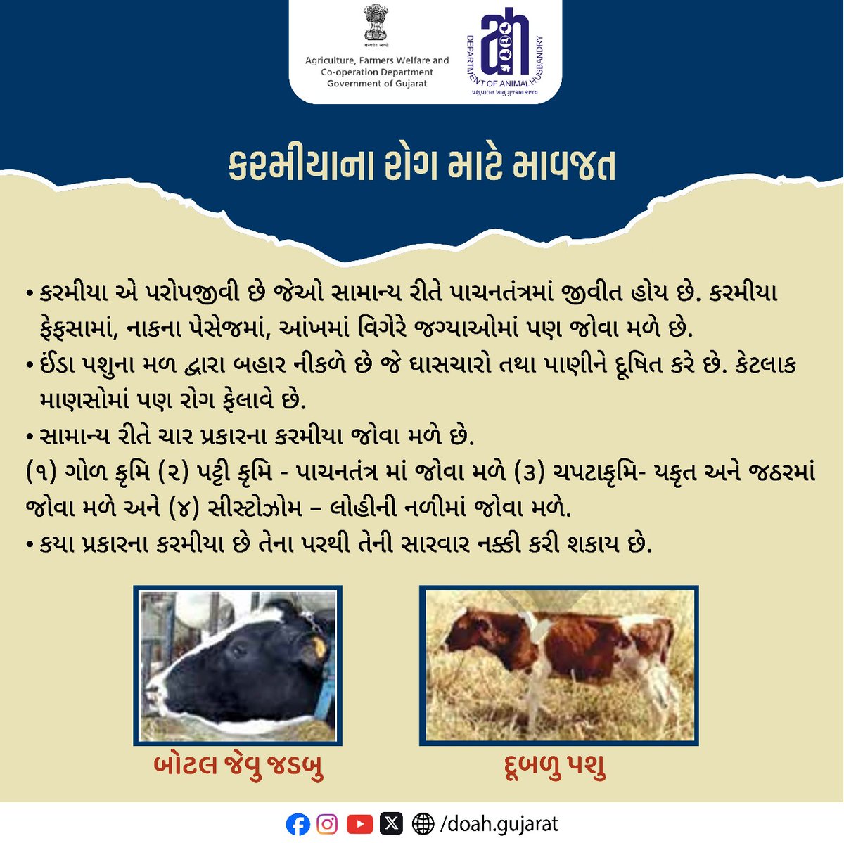 DoahGujarat's tweet photo. કરમીયાના રોગ માટે માવજત
@Dept_of_AHD @posolanki @RaghavjiPatel
@InfoGujarat
#ParasiticDiseases
#AnimalHealth
#WormInfection
#ParasitePrevention
#LivestockCare
#AnimalHusbandry
#FarmAnimalHealth
#VeterinaryCare https://t.co/JVaWzQGrWq
