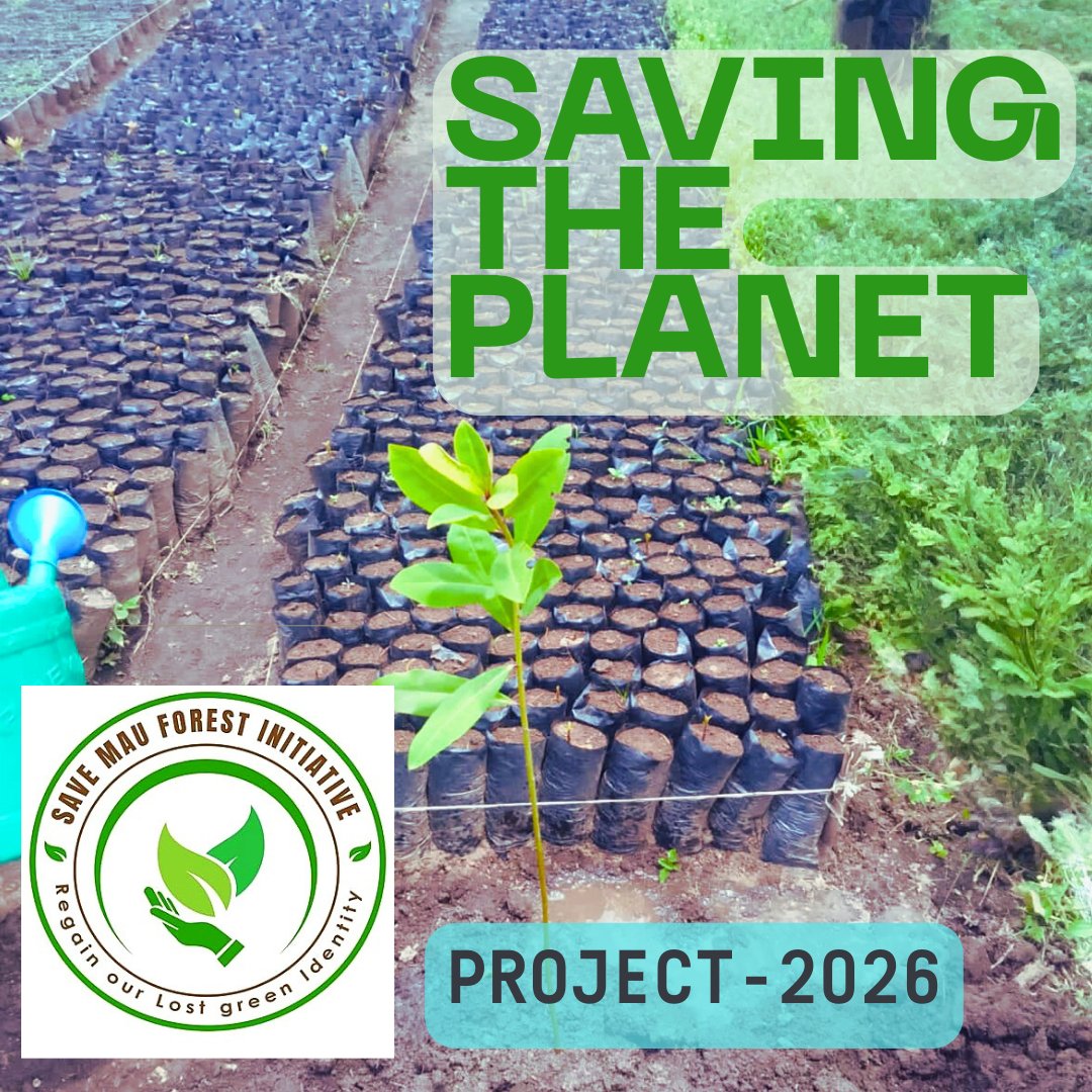 🌍🌱 Looking forward to Project 2026 under Save Mau Forest Initiative!

We’ll expand indigenous tree nurseries, safeguard rivers, scale school &amp; faith-based planting, engage youth &amp; Ogiek elders, and extend our reach across the Mau Forest Complex. 💚🌳

#ClimateAction #Cop30