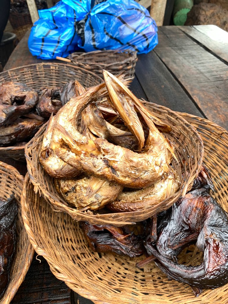 AylaFoods's tweet photo. Freshly smoked & ready for export!
From Catfish π to Mangala & Barracuda, we bring authentic Nigerian flavors to your doorstep π. Perfect for soups & stews.
π¦ Bulk & retail orders available. DM to order today!
#FoodExport #AfricanFood #NigerianExport #DiasporaEats https://t.co/cm6cbmTQrd