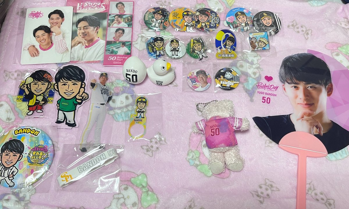 譲  画像のもの

求  27.67. （8.65）  or  買取

郵送のみ📮
リプ、DMよろしくお願いします🙏

#若鷹ガチャ
