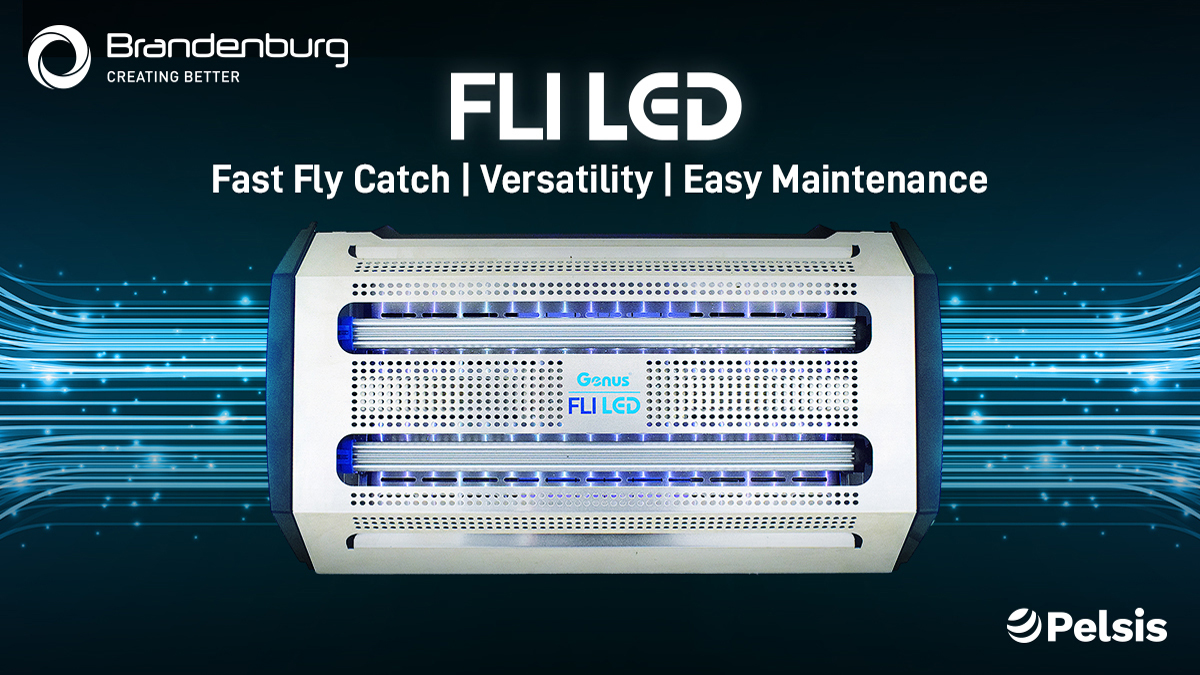 Forshaw_Inc's tweet image. Catch flies faster, service easier. ➡️ Genus FLI LED. Optimized LED technology for superior fly capture + versatile mounting + a lift-and-stay hinge for quick maintenance. It&apos;s that simple.

#FORSHAW #FlyControl #PestControl #PMP