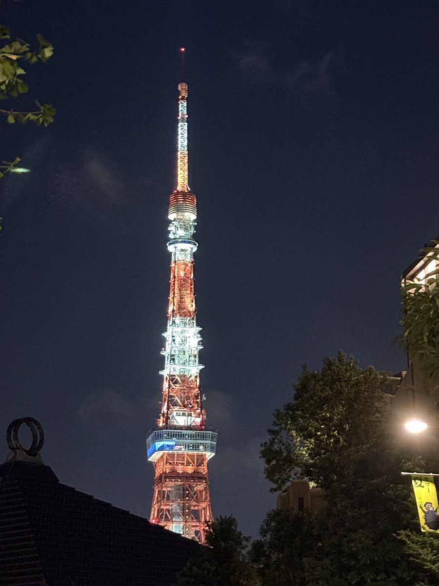 東京タワー様、確認用です。 東京タワースペシャルライトアップ点灯！ACG WORLDS共同主催