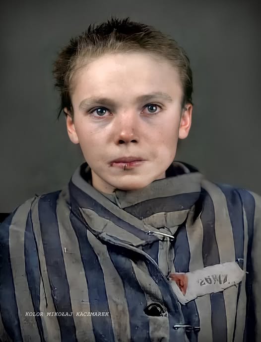 Pan Cezary Krysztopa #BabiesLivesMatter tweet media