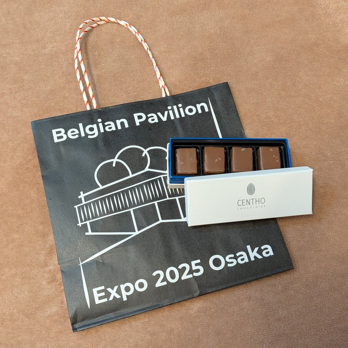 expo2025log's tweet photo. 今日のミッション:ベルギーパビリオンでポストカードを買う
マグリットの「9月16日」のポストカードなかった…。4ヶ月前から今日を楽しみにしてたのに…。
仕方がないからおばちゃん達がみんな持ってる紙袋もらうためにセントーの塩キャラメルチョコを買った。
#大阪・関西万博 #EXPO2025 #CENTHO https://t.co/H5Lv78109Z