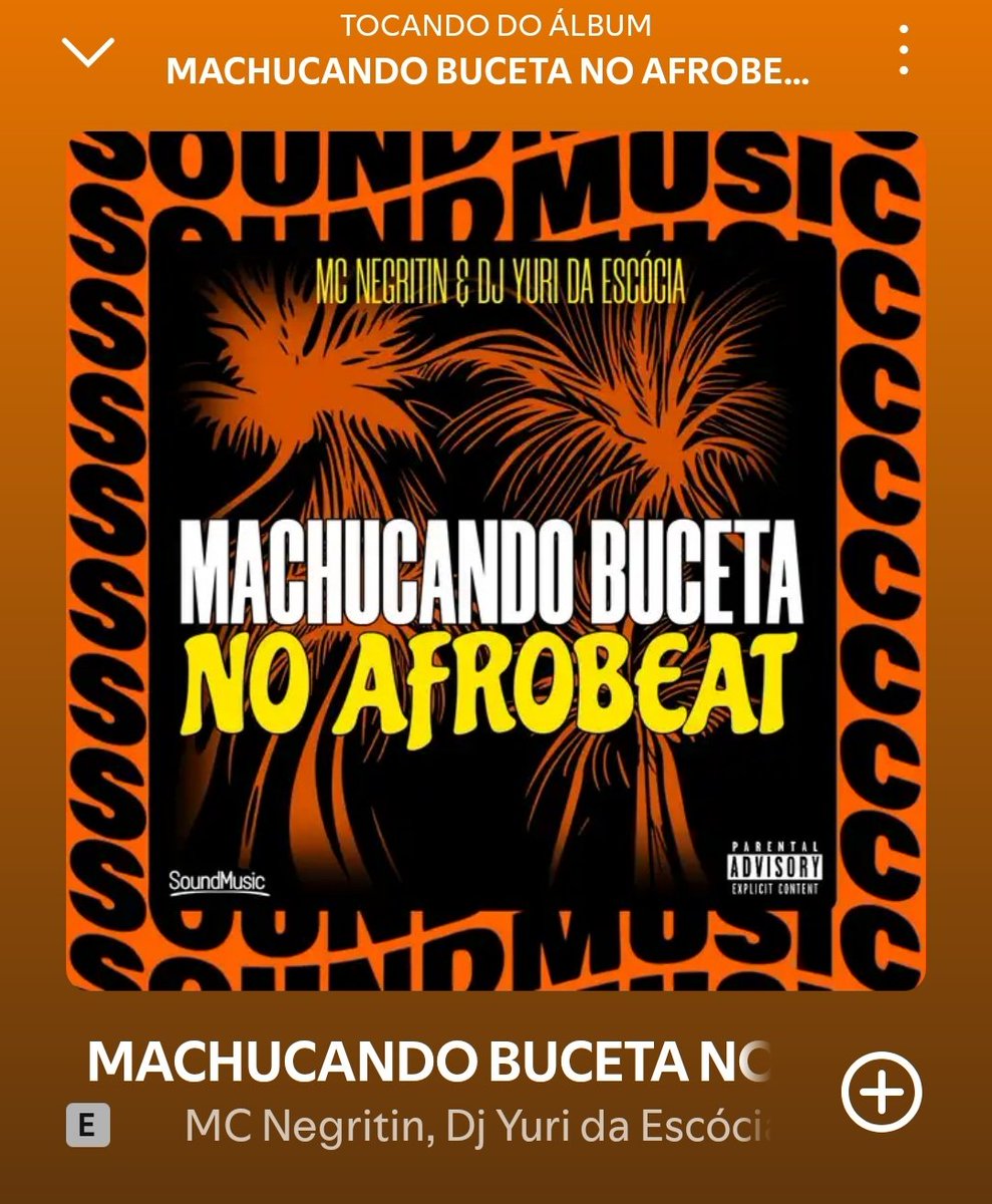 Não sou muito fãaaaa de funk, não. Mas fui ver as músicas da pág do meu primo no Spotify e essa é aulaaaaaaas e nem é merchan valeu <a href="/Negritin_Ofc/">LÍDER🤴🏿</a>