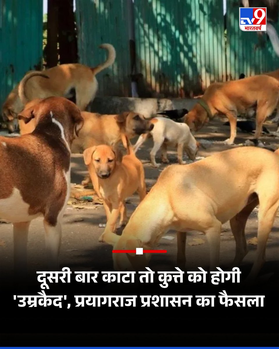 गोदी मीडिया अधूरी खबर दे रहा है। 

पूरी खबर ये है कि कुत्ते ने अगर माफीनामा लिखा, तो रिहाई के साथ पेंशन भी मिलेगी। 

🤔😂