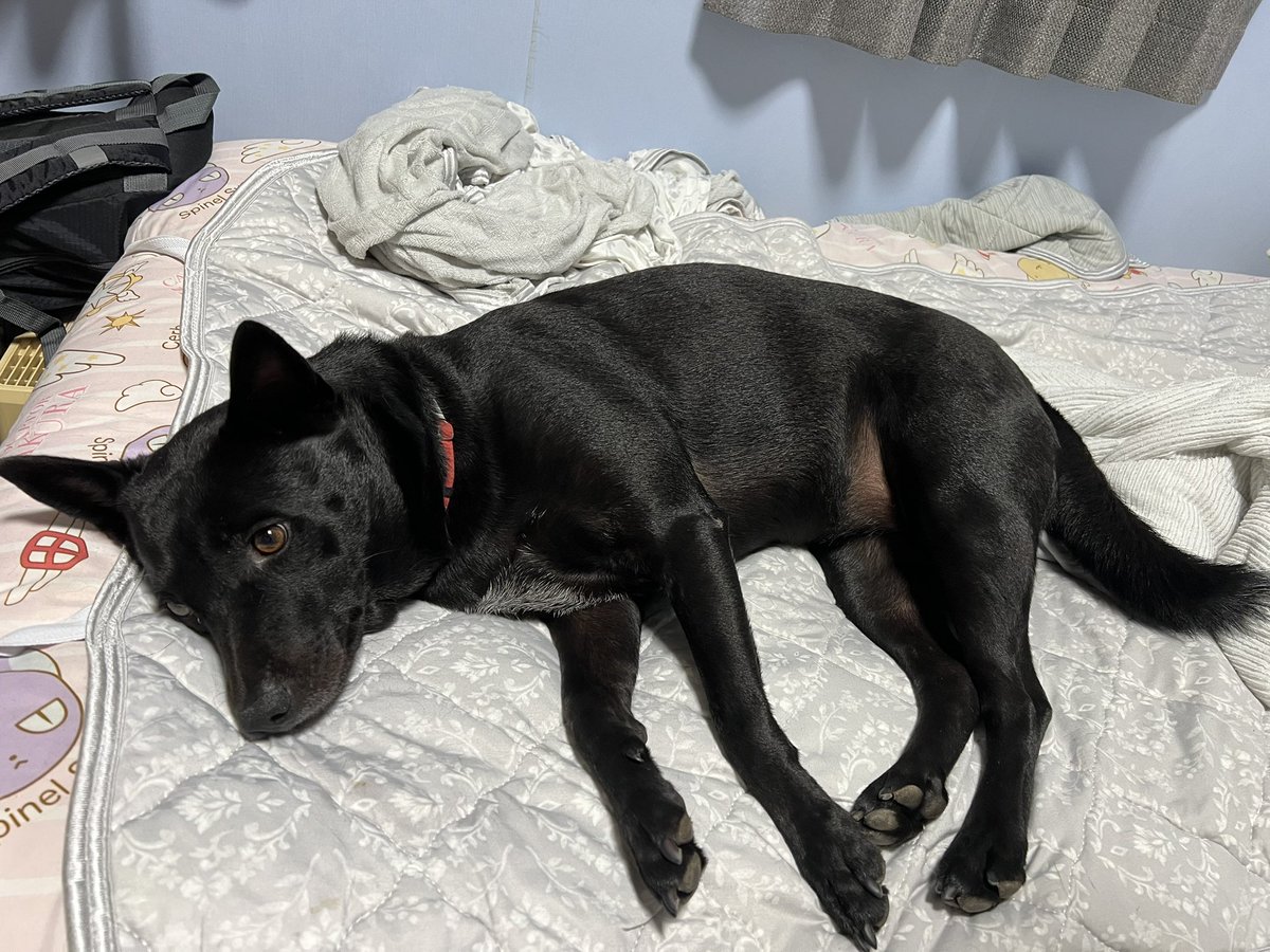 歯みがきガムもらいたくていい子で待ってたのに…
遅い…( ⩌⤚⩌)
（ごめんね，母のマッサージしてたよ🤣）