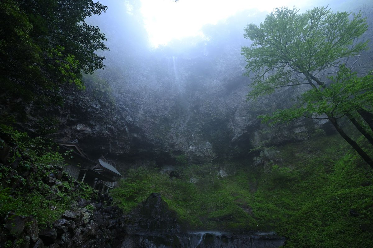 壇鏡神社の夫婦杉
島根県隠岐の島町の壇鏡神社鳥居前に立つ2本の杉
神社の杉を供出するよう通達があったが阻止するために鳥居を移動し杉を外に出し神社の杉ではないとして免れたそうだ
雨が降り霧が立ち込め湿潤な境内は神秘的で特に壇鏡の滝は見事であった