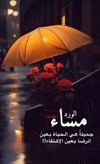 #بوح_الخاطر 
ابحثوا عن جمــــال الروح 
فبقرب الأرواح الطيبة تطيب الجروح🕊

🌷🌷
مسائكم سعاده لاتنتهي 🕊