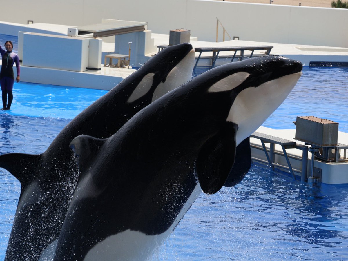 引越し - Search / X