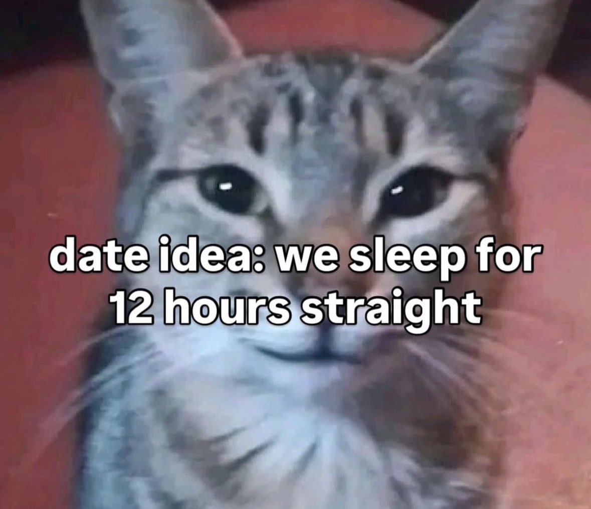 More Cats (@evenmorecats) on Twitter photo 