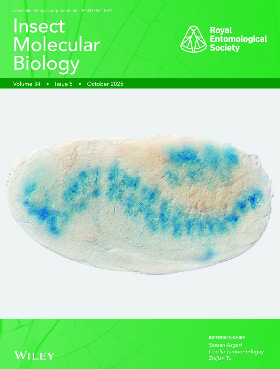 Insect Molecular Biology tweet media