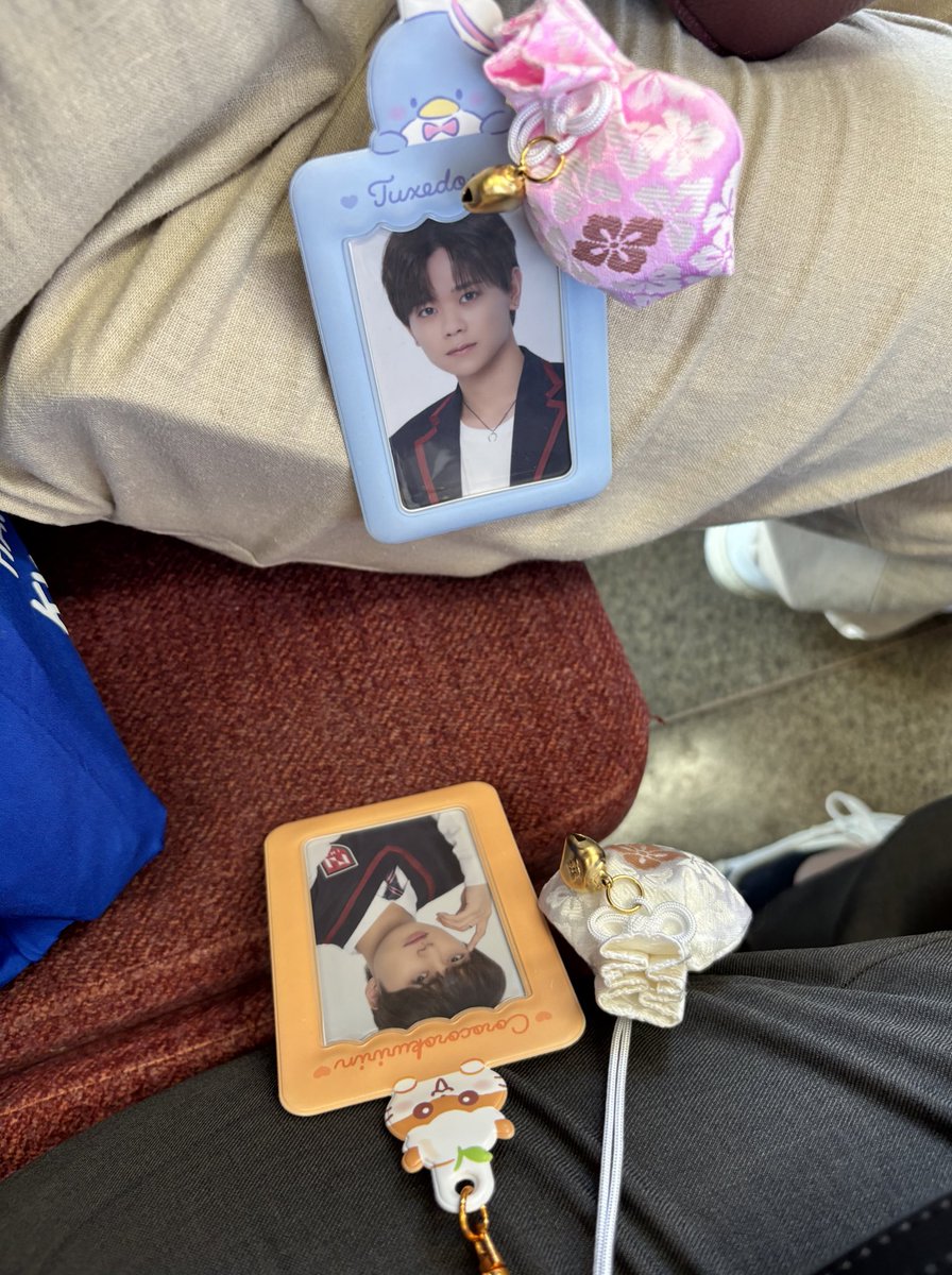 oztkpu's tweet photo. 【うれしい！たのしい！大好き！】
おざまき愛知・伊勢旅行✨🐶 https://t.co/YNiWIPxTcq