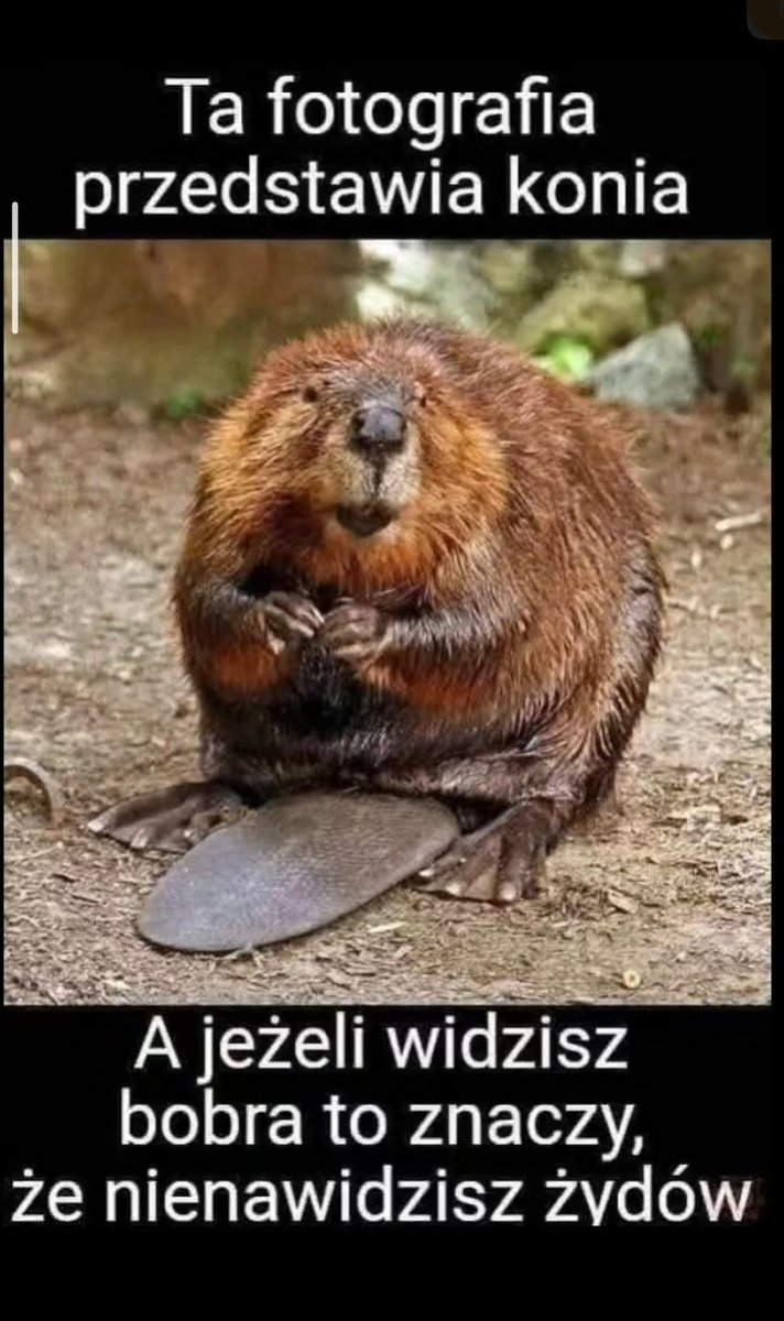 mati tweet media