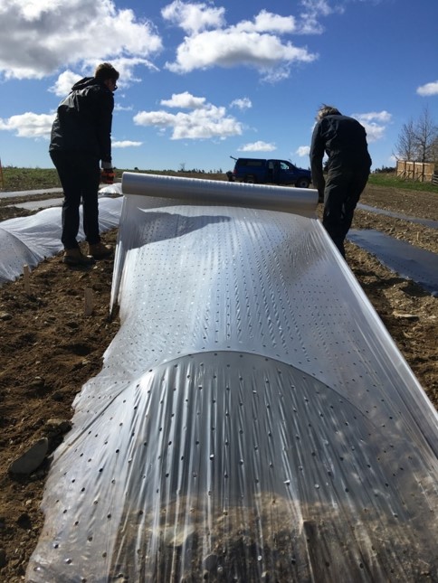 NL Federation of Agriculture tweet media