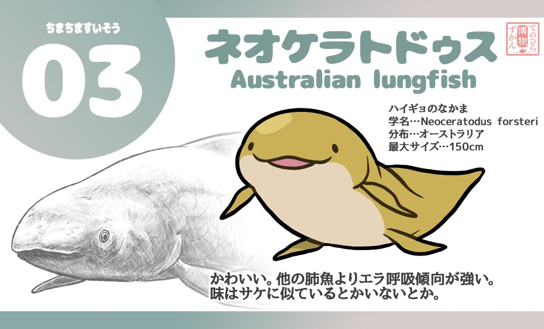 デフォルメフィギュアだと本物の質感が分からないかなって思ったのでリアル寄りの絵も描きました！！！！ペラ紙だけどフィギュアにつけます