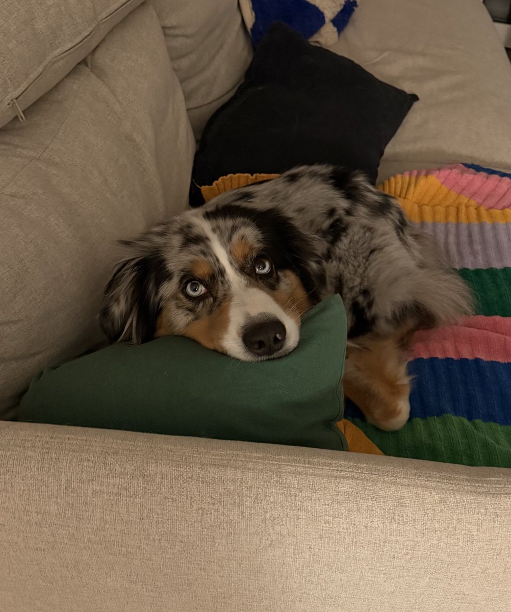 Устала спать весь день, отдыхает