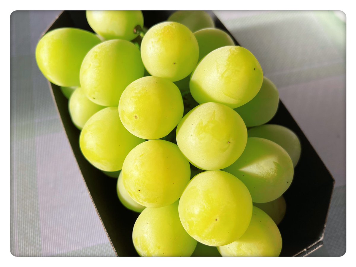 今年初の【シャインマスカット】
美味しく頂きました♪

遅い夏休みを取ったから帰ると
息子から連絡が…
明日帰って来ます