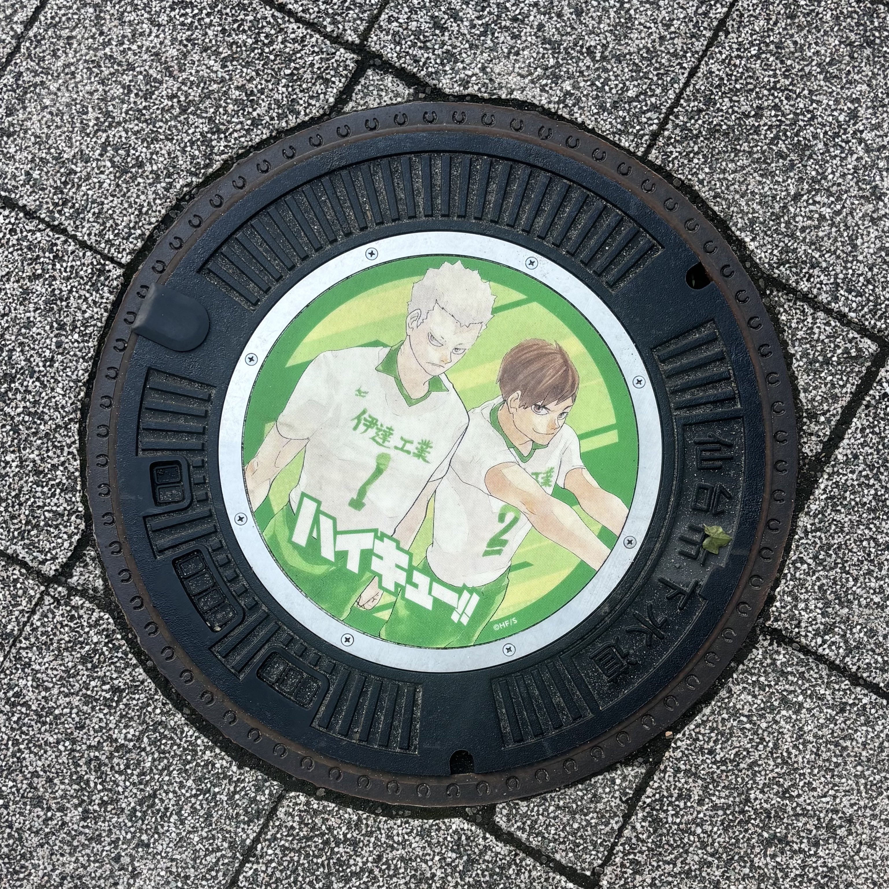 マンホール 横浜市金沢区 にて撮影 金沢八景のマンホールです。 金沢八景駅