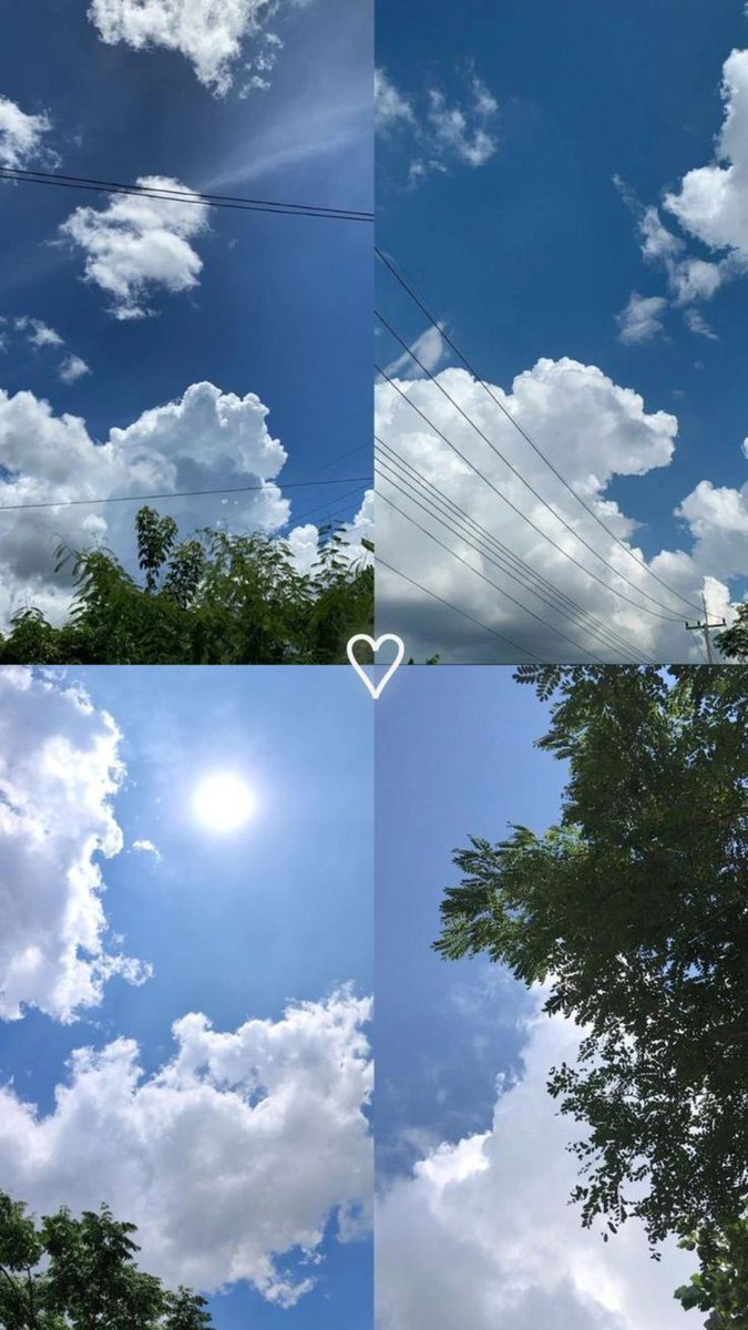 Pearl ✨ tweet media