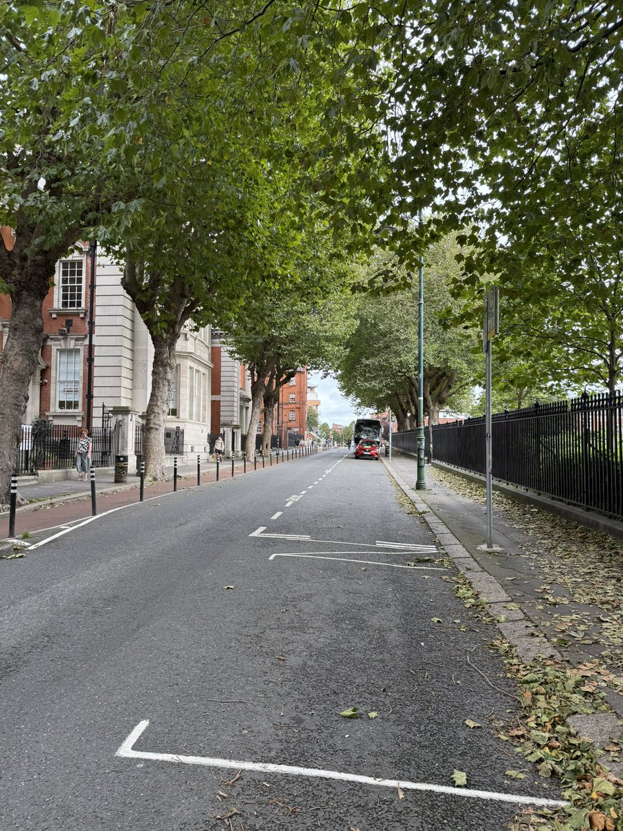 irish_today's tweet image. St. Patrick’s Park is where history meets serenity! Nestled beside the stunning St. Patrick’s Cathedral, this lush little haven is perfect for a peaceful stroll, picnic, or worthy snap with gothic backdrops &amp;amp; blooming gardens.
#StPatricksPark #DublinVibes #CathedralViews #Dublin