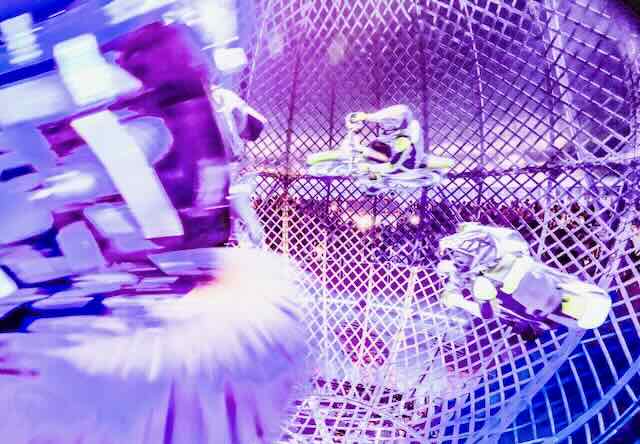 John Elder Robison tweet media