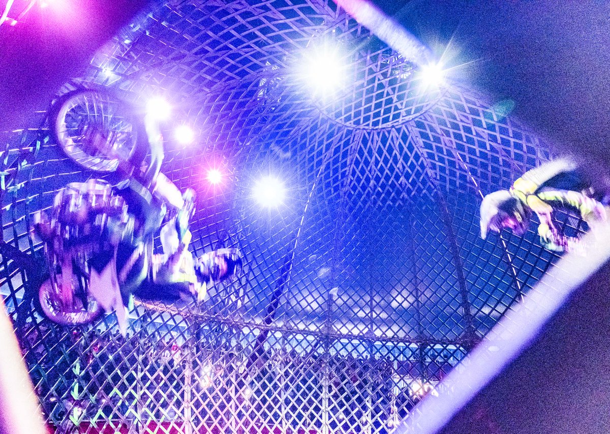 John Elder Robison tweet media