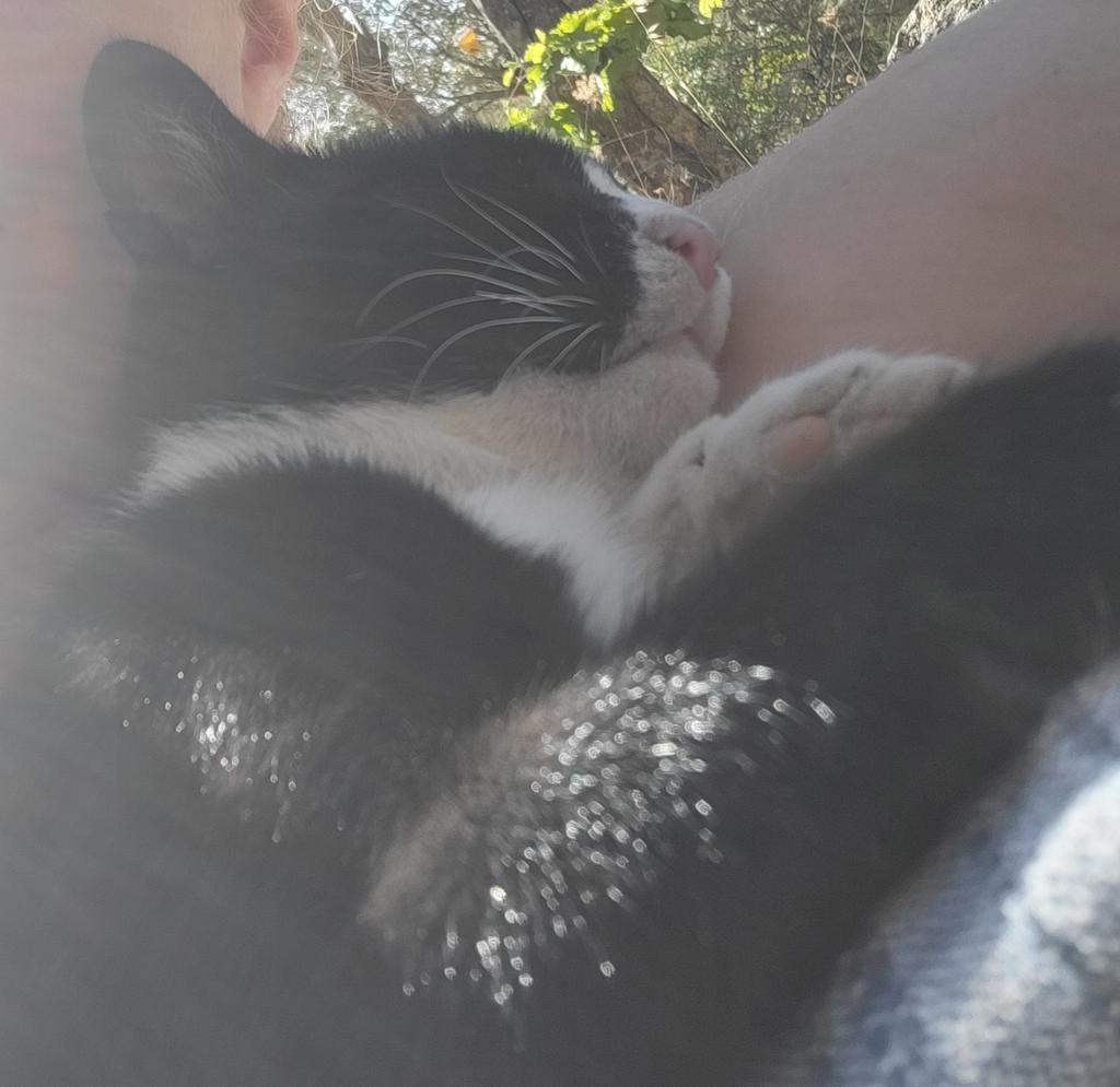 Antonia Wawira 💙 tweet media