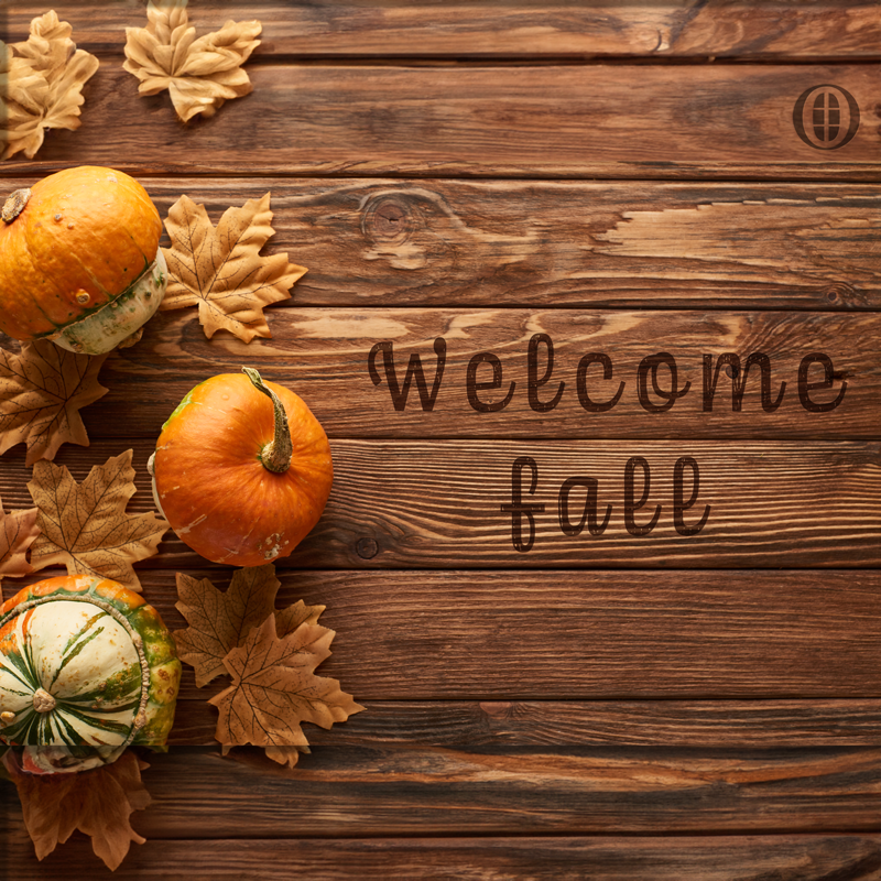 OperaSoftwareCo's tweet image. Opera Company dà il benvenuto all'autunno 🍂🌰

Opera Company welcomes fall 🍂🌰