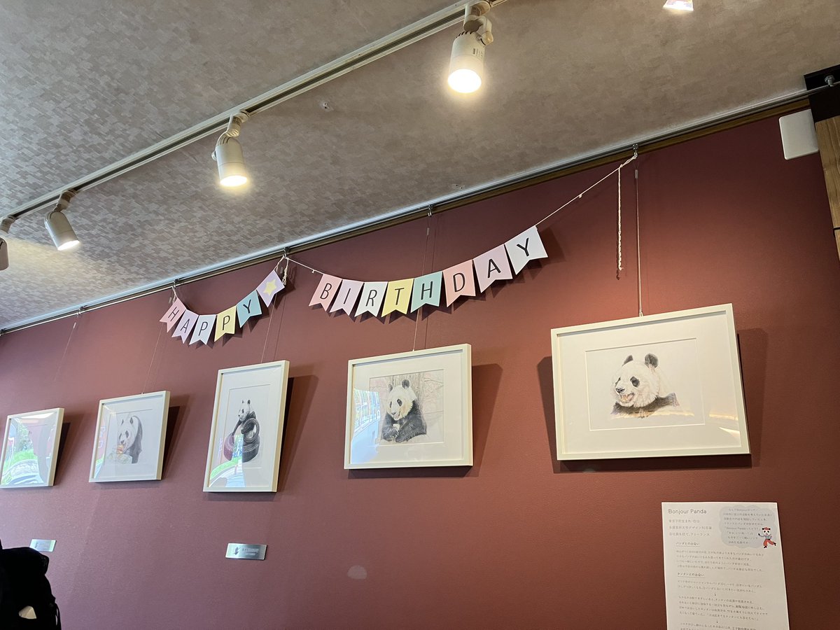 タンタン🐼
お誕生日おめでとう。
今日は沢山の人がおめでとうやありがとう。いろんな気持ちを伝えに来ていたよ😊
タンタン、ずーっと大好きだよ💕