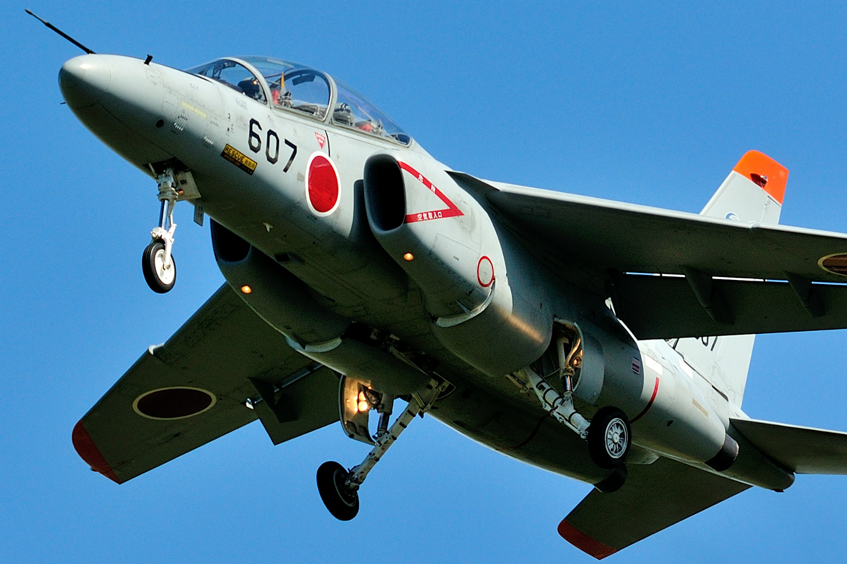 飛行訓練用実物 　芦屋基地T4 航空自衛隊 芦屋基地 第13飛行教導団 T-4 練習機 航空自衛隊70