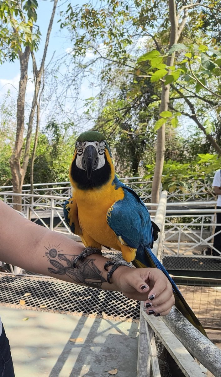 naclara 🐈‍⬛ tweet media