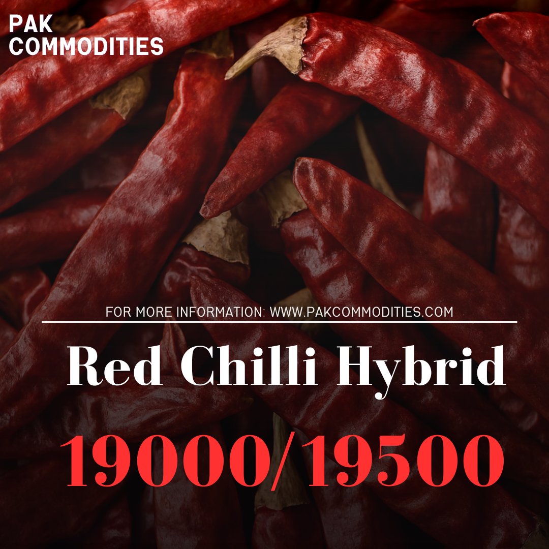 pakcommodities1's tweet image. Pak commodities Islamabad
#redchilli #localmarket #pakcommodities